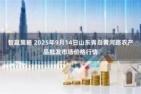智赢策略 2025年9月14日山东青岛黄河路农产品批发市场价格行情