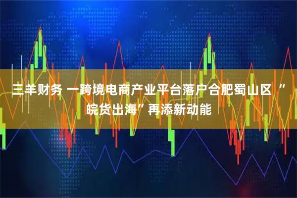 三羊财务 一跨境电商产业平台落户合肥蜀山区 “皖货出海”再添新动能