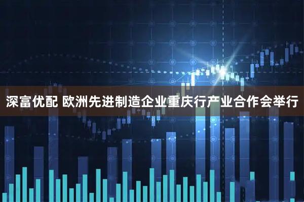 深富优配 欧洲先进制造企业重庆行产业合作会举行